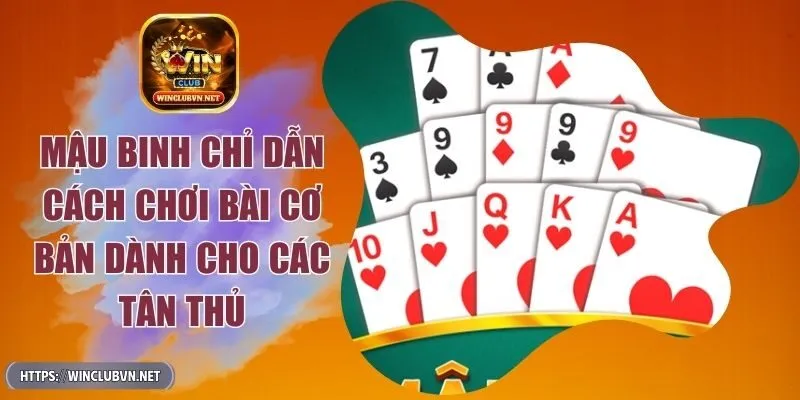 mau-binh